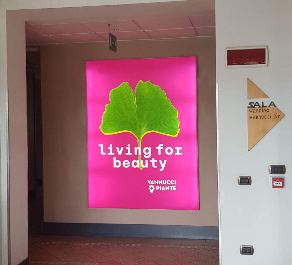 Realizzazione e Posa Banner Backlite per campagna promozionale a Pistoia.